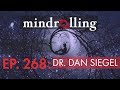 Mindrolling – Ep. 268 – Dr. Dan Siegel