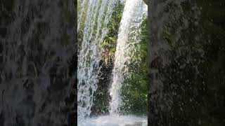 The Backside Of Water On Jungle Cruise #shorts #disney #disneyworld #junglecruise
