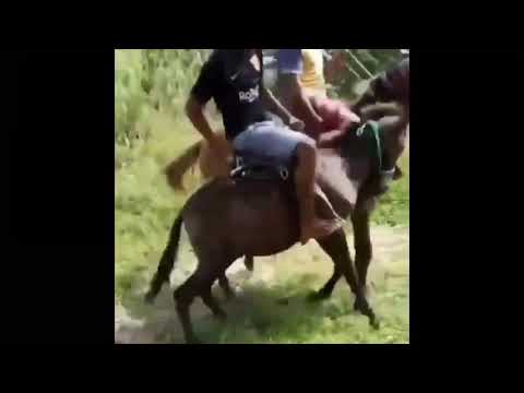 EDY E NATHAN _ jeito matuto, ft. rai saia rodada