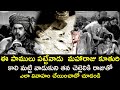 SNAKE MAN WHO MARRIED THE SISTER WITH KING BHAGYA CHAKRAM NTR B SAROJADEVI JAYANTHI V9VIDEOS