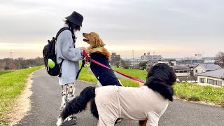 - 夢が叶いました