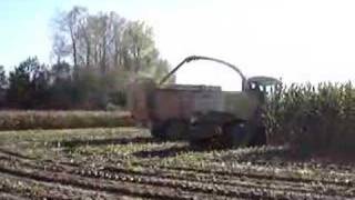 preview picture of video 'corn harvest Belgium Heyvaert 1'