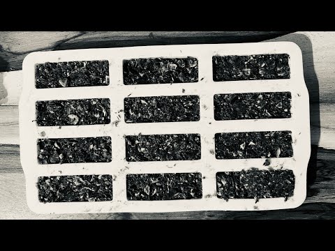 Pammikan zum Wandern selber herstellen