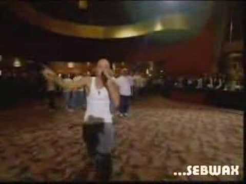 Madonna & Britney Spears VERSUS Eminem (videoclip by sebwax)