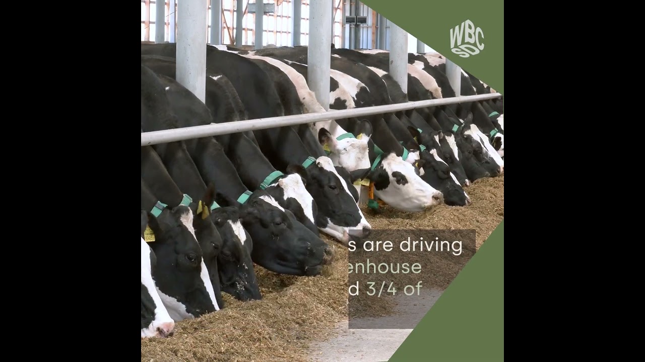 Future-Proof Agriculture and Food Value Chains