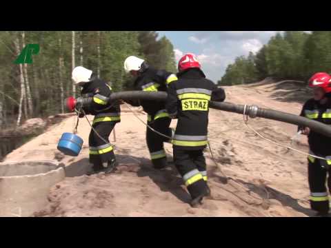 Nadleśnictwo Żagań - Kompleks poligonowy nr 550