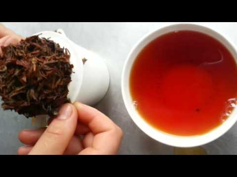 download lagu mp3 mp4 Darjeeling Second Flush 2016, download lagu Darjeeling Second Flush 2016 gratis, unduh video klip Darjeeling Second Flush 2016