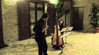 Nino Rota  La Strada  - Claudio Ferrarini & Emanuela Battigelli