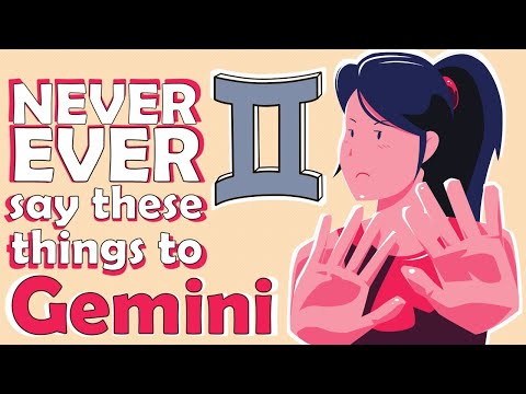 NEVER EVER say these things to GEMINI