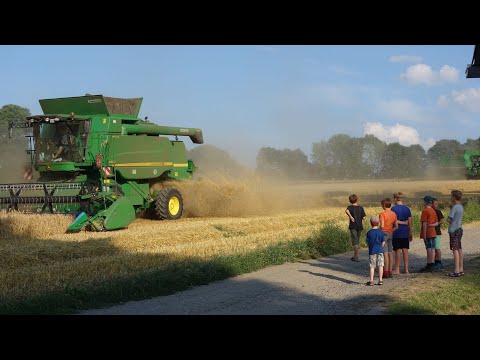 Predigt zu Lk 12, 13 - 21 I Was ist deine Sicherheit?