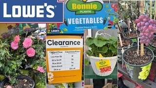 LOWE’S BEST NEW VEGETABLE & PLANTS ARRIVALS FOR SPRING |HOW TO MAKE YOUR GARDEN BEAUTIFUL