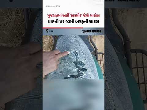 Gujarat માં ઠંડીનો પારો ગગડ્યો! અહીં તો 3.8 ડિગ્રી સાથે 'કાશ્મીર' જેવો માહોલ