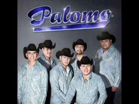 download lagu mp3 mp4 Te Metiste En Mi Cama Palomo, download lagu Te Metiste En Mi Cama Palomo gratis, unduh video klip Download Te Metiste En Mi Cama Palomo Mp3 dan Mp4 Music Online Gratis