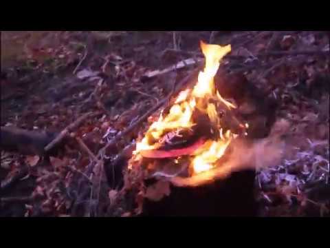 Due Today - Fuck Austin Cannon (Austin Cannon & Nate Millyunz Diss) Official Music Video