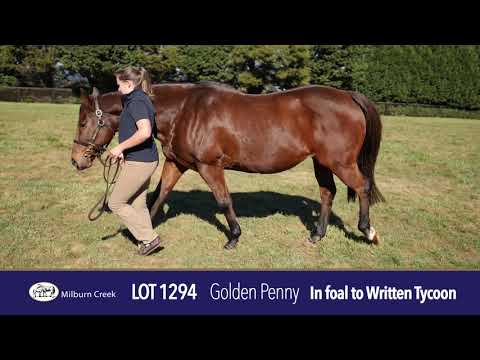2021 Gold Coast National Broodmare Sale Lot 1294