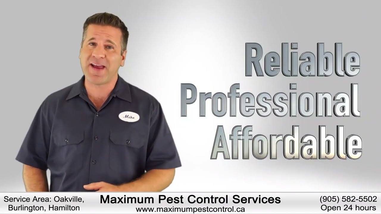 Maximum Pest Control Services - Contact Us Today