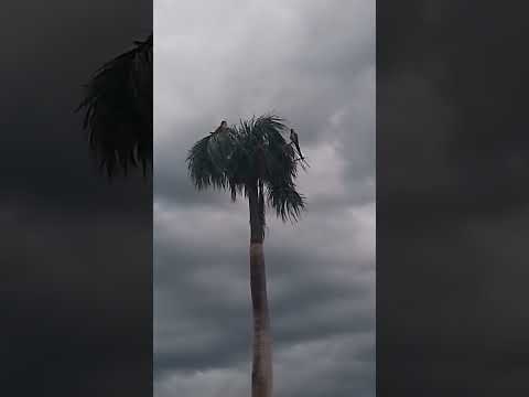 Isso você a inda ver na praça da cidade de itajá Goiás