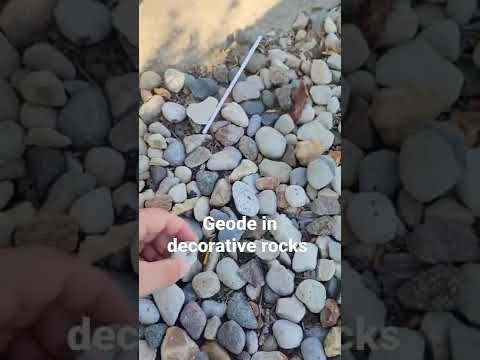 Geode in decorative rocks! #rocks #geode #rockcollection #cool #collector #collection #rockhunter