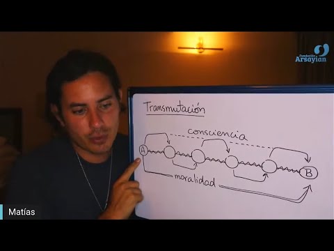 Day 330 Edición en Español - TRANSMUTACION - Spanish edit- Matias De Stefano