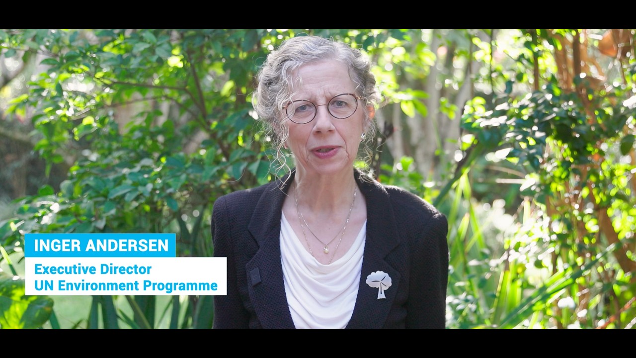 Opening remarks by Inger Andersen, the Executive Director of UNEP for the 64th Session of the IPCC