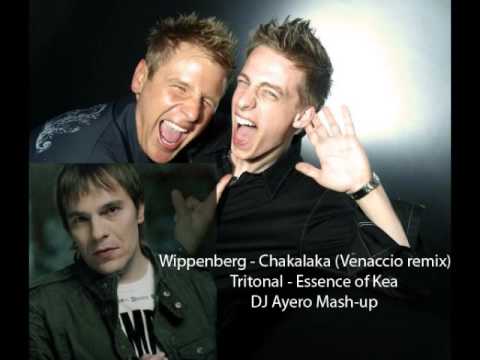 Wippenberg vs Tritonal - Essence of Chakalaka (DJ Ayero Mash-UP)