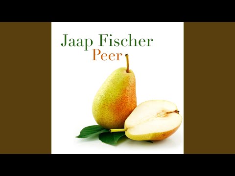 Peer - Jaap Fischer
