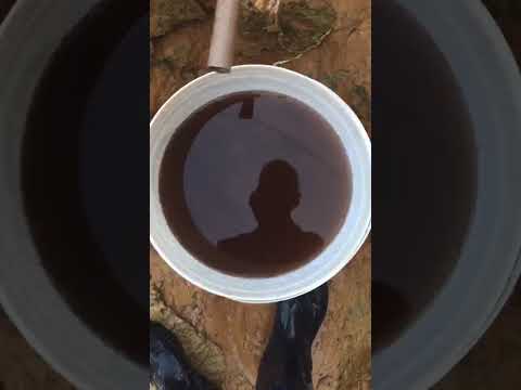 Essa é a água marrom da Verde Alagoas, em Japaratinga