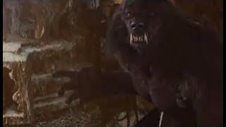 E Nomine - Mitternacht