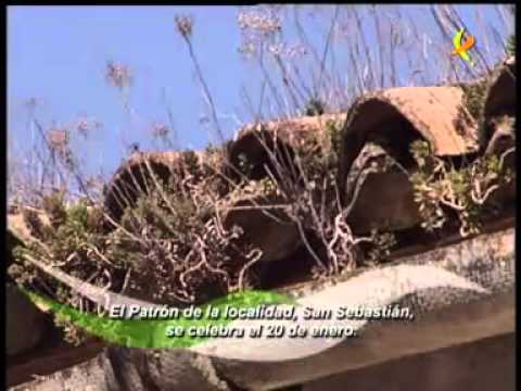 CAMPILLO DE DELEITOSA