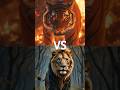 Lion Vs Wild Animals Tiger Lion Leopard Bear