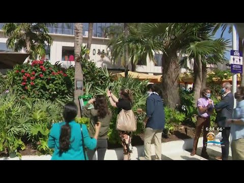 Fairchild Gardens On Lincoln Road Lets Visitors Learn About ‘Some Of The Most Spectacular Foliage In