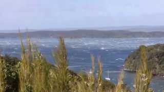 preview picture of video 'Westerly gale in Paterson Inlet, Stewart Island'