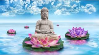 Buddhist Meditation Music Garden: Zen Music for Balance and Relaxation, Holistic Massage Therapy