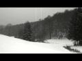 Wyrd - Heathen 
