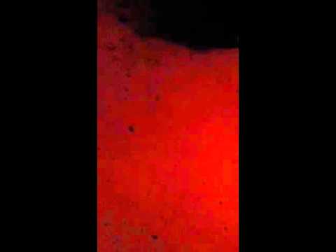 2015/12/17 Kingston Mines:Carl Weathersby 1