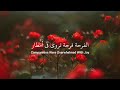Wedding Nasheed - (Lyrics + English Translation ) Muhammad Al Muqit