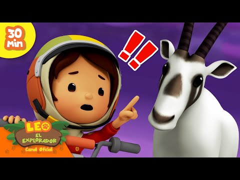 ¡CONOCE A LA FAMILIA DE LOS CABALLOS! 🐎🐴 | Leo, El Explorador | Animación Niños