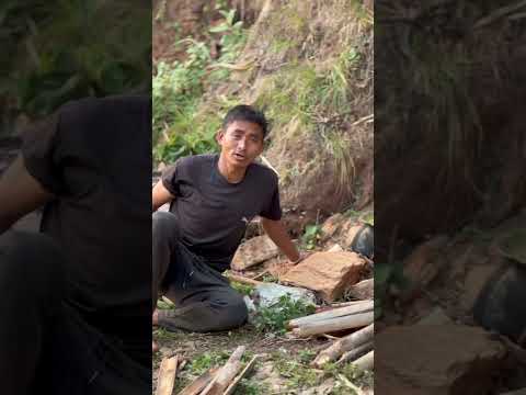 #thulikanxivlog #gaughar #reels