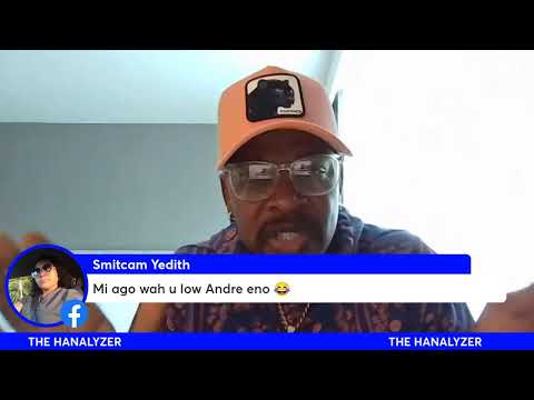 THE HANALYZER: DAMAGE CONTROL