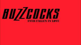 Buzzcocks - Ever Fallen In Love