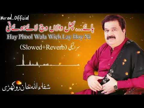 Hay Phool Wala Wich Lay Hoy Ni  (Slowed & Reverb)  Shafaullah Khan Rokhri  #saraiki | Murad_Official