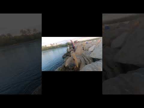 Villa del Carmen fishing club 8/feb/2026 cojinúa y jurel disfrutando el día 🙏✌️