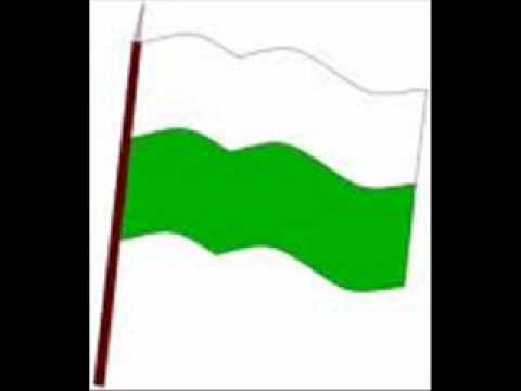 Cebando mate enrique rodriguez fox.wmv