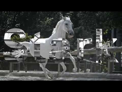 TraXon für Lkw (de)