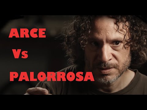 Diapasones ¿Arce o Palorrosa? Descubre las Diferencias