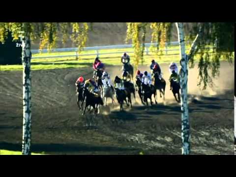 Velká pardubická 2010