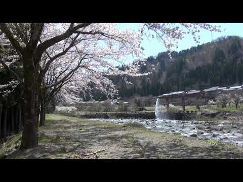 Hakusan Tedorigawa Geopark Scenery: Shiramine | 白山手取川ジオパーク景色：白峰