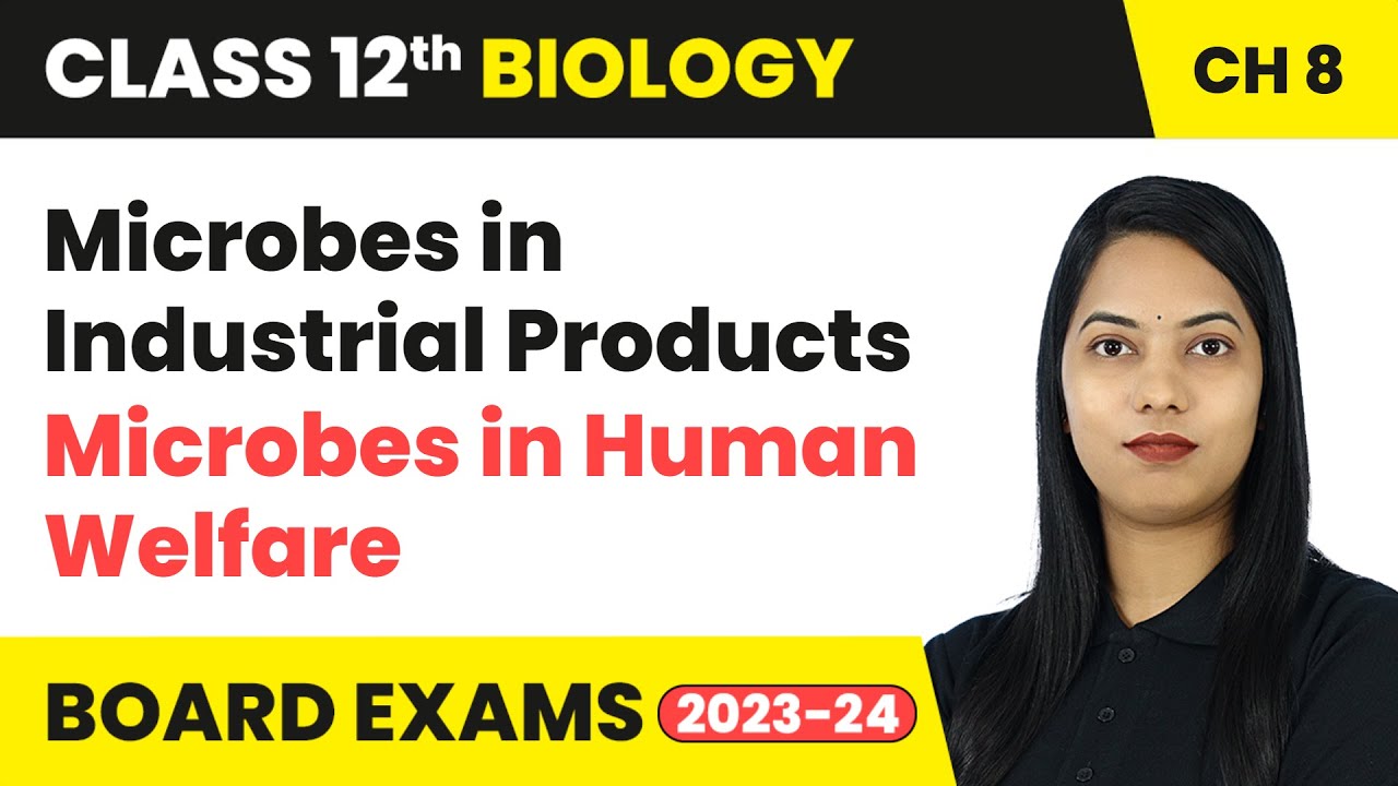 Microbes in Industrial Products - Microbes in Human Welfare | Class 12 Biology Chapter 8 | CBSE 2024