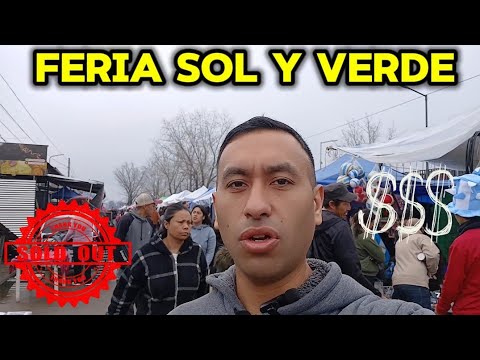 Feria sol y verde jose c paz