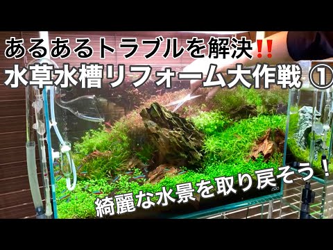 スイミングプールの輪郭をどのように配置するか?プールを舗装、植栽、家具で囲むための 3 つのアイデア  庭園